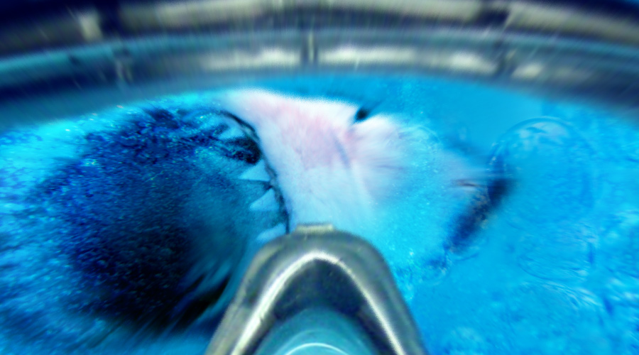 Photoshop Design by JeffH01 for DesignCrowd (Community Contests) | Design #8986961