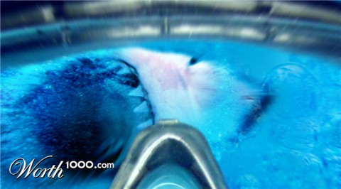 Photoshop Design by JeffH01