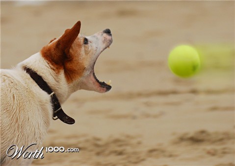 Photoshop Design by phillpsp