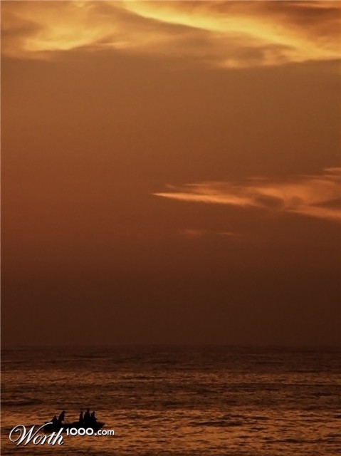 Photography by v3n0m0us