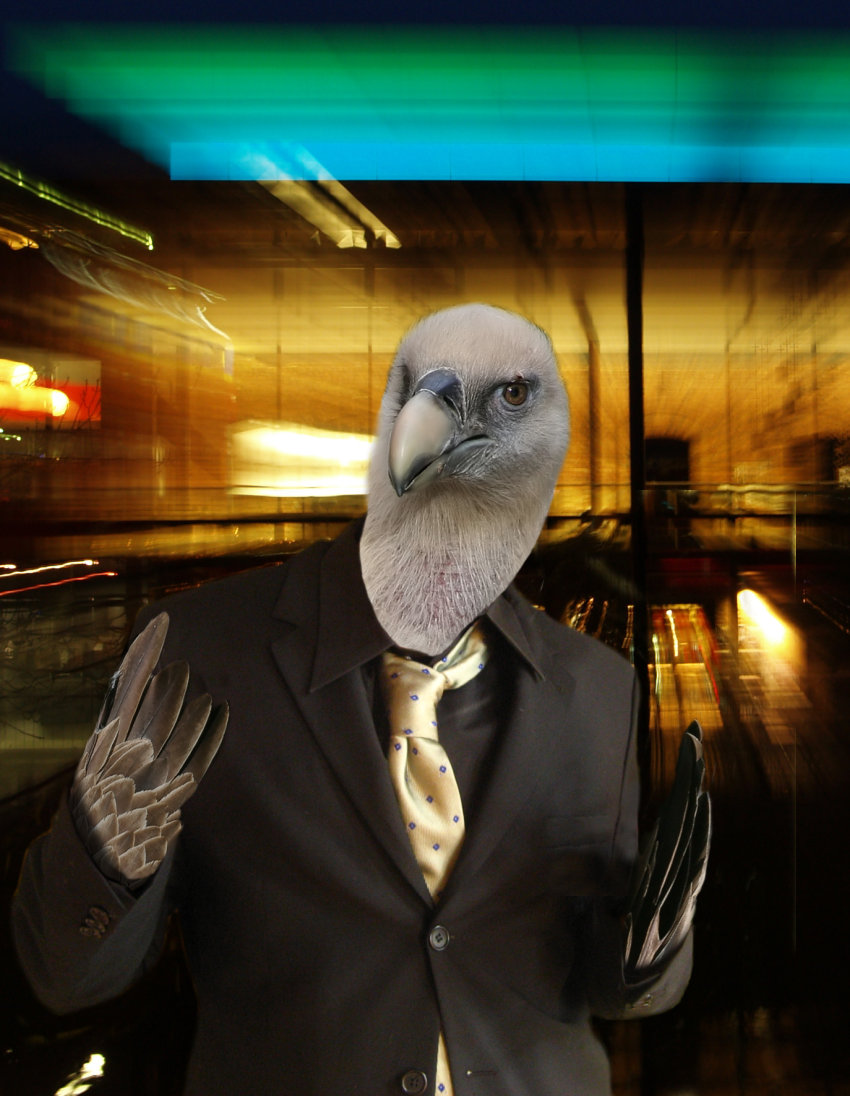 Photoshop Design by doehlman for DesignCrowd (Community Contests) | Design #8985629