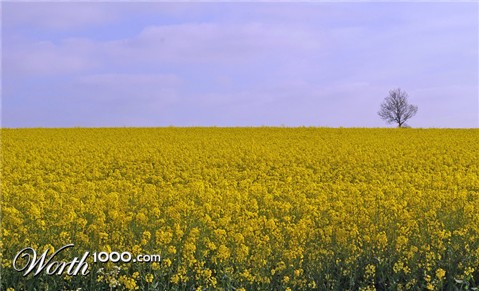 Photography by Rvannith