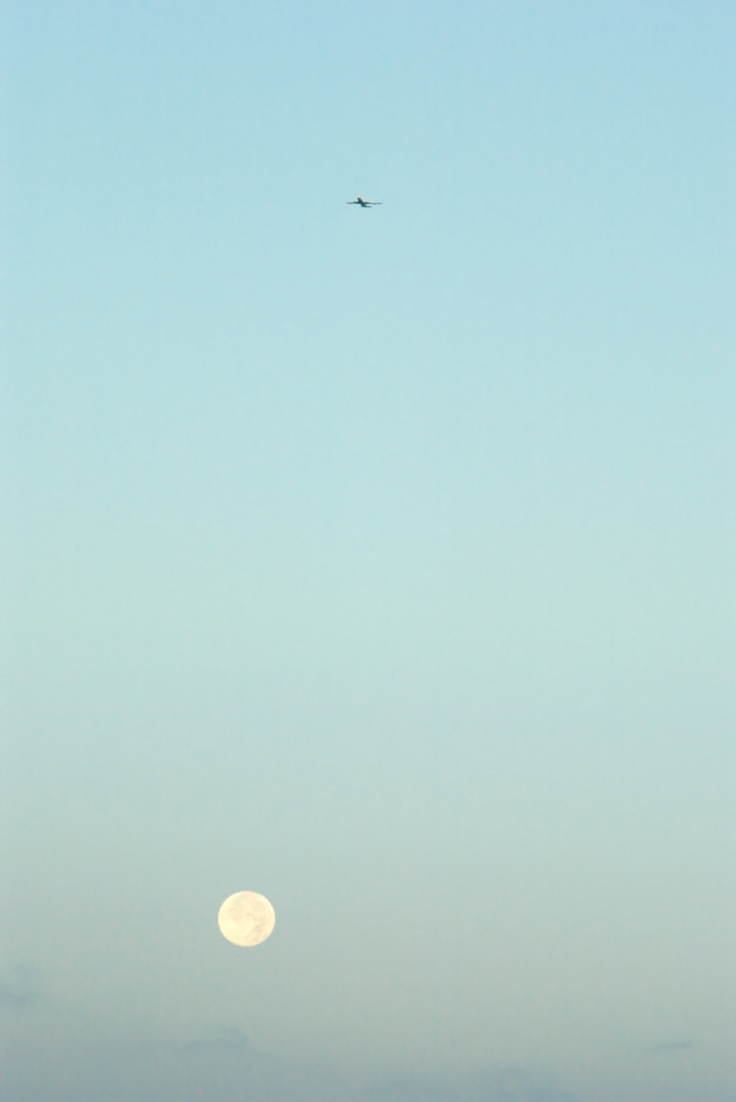 Photography by splong for DesignCrowd (Community Contests) | Design #8996297