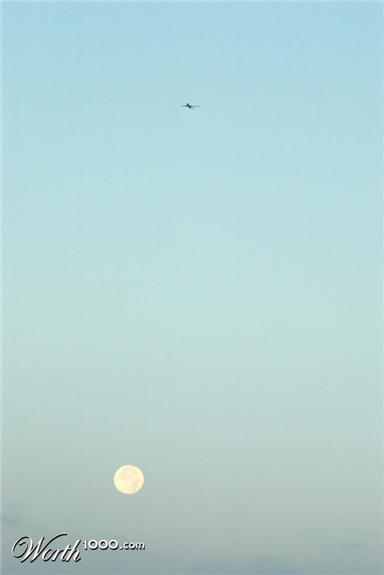 Photography by splong