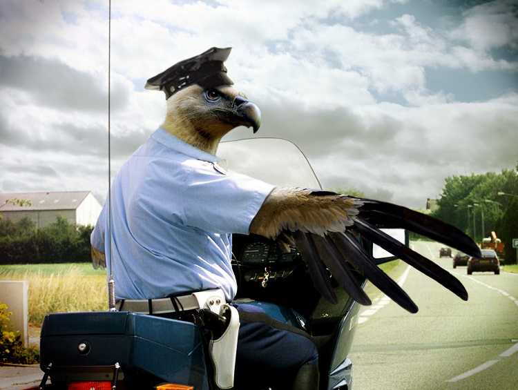 Design Photoshop par Anabole pour DesignCrowd (Community Contests) | Design #8985637