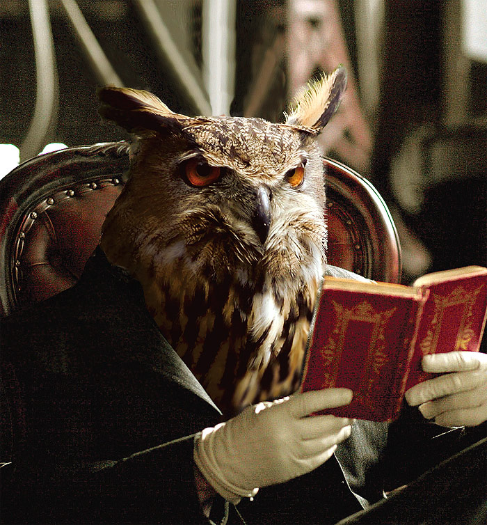 Diseño de Photoshop por Mandrak para DesignCrowd (Community Contests) | Diseño #8985639