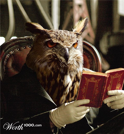 Photoshop Design by Mandrak