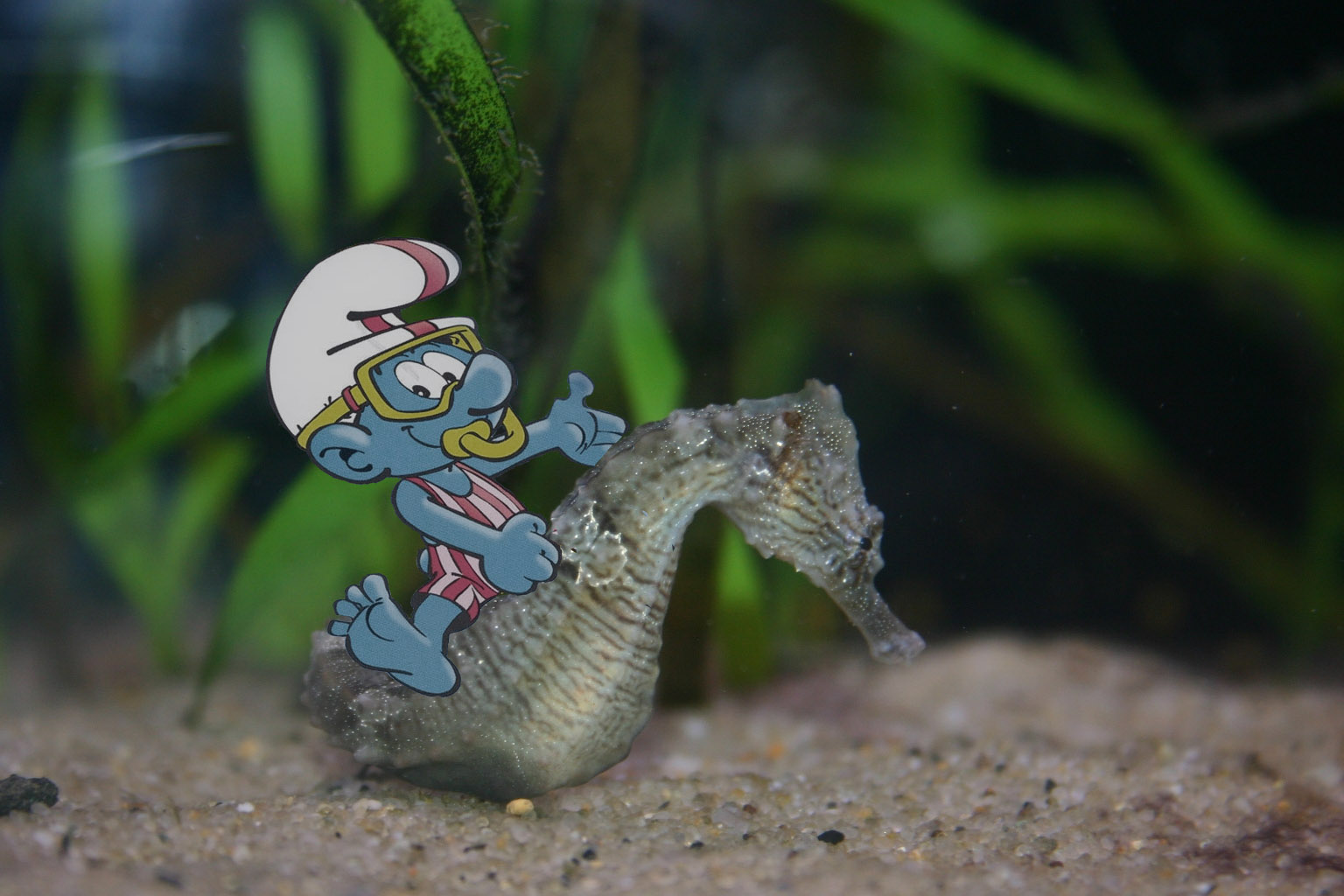 Diseño de Photoshop por juststu para DesignCrowd (Community Contests) | Diseño #8985020