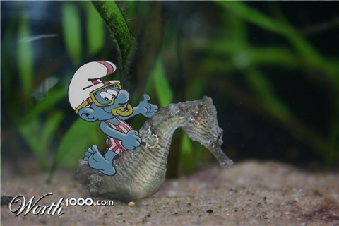 Photoshop Design by juststu