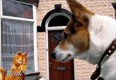 Photoshop Design by tahmasbi