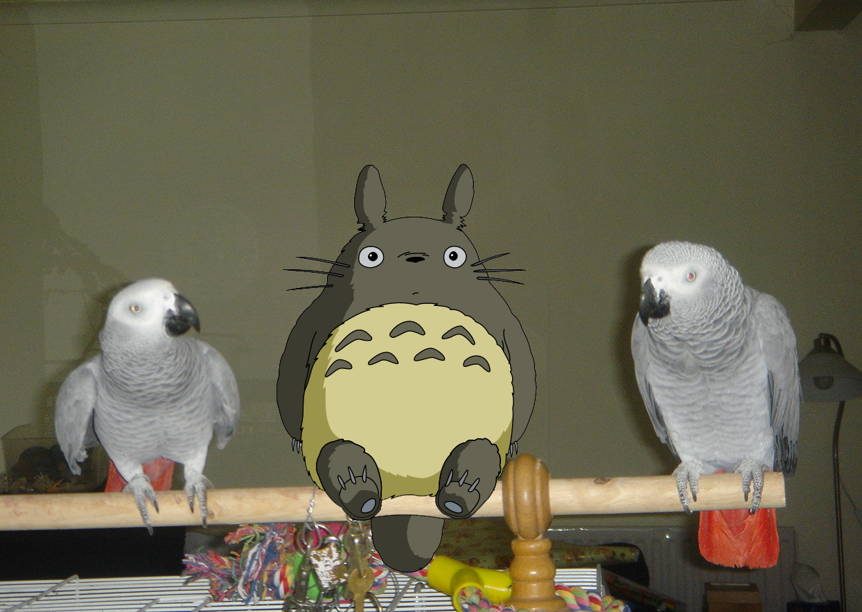 Photoshop Design by BlackPearl for DesignCrowd (Community Contests) | Design #8985026