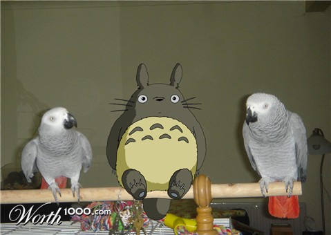 Photoshop Design by BlackPearl