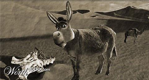 Photoshop Design by Chimmi