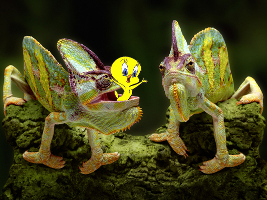 Photoshop Design by virtel2 for DesignCrowd (Community Contests) | Design #8985036