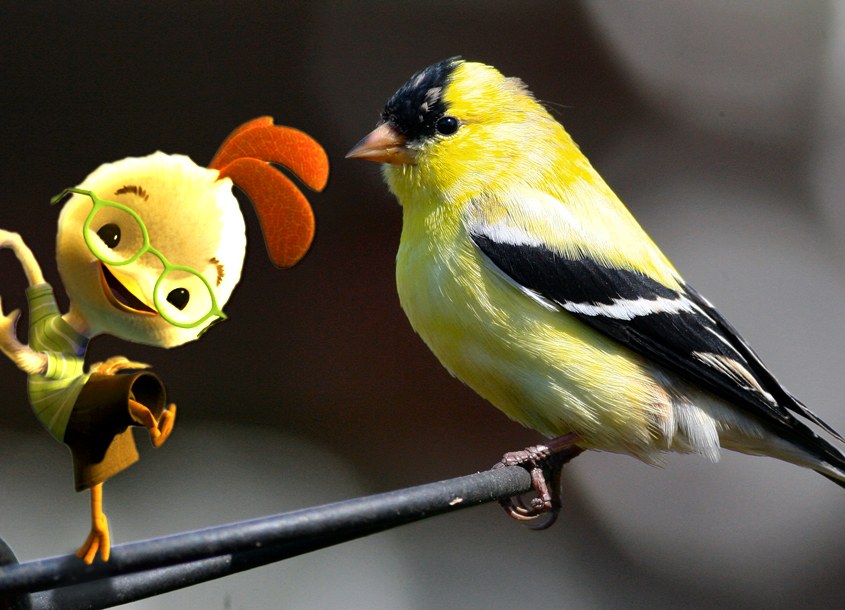 Photoshop Design by LookAndSee for DesignCrowd (Community Contests) | Design #8985039