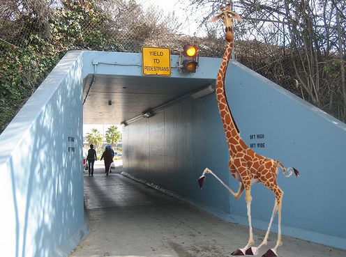 Photoshop-Design von ahsanfarhan22 für DesignCrowd (Community Contests) | Design #8985054