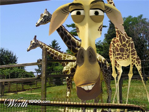 Photoshop Design by chicken279