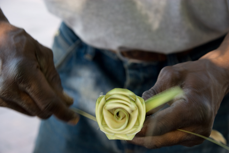 Photography by pinkfly for DesignCrowd (Community Contests) | Design #8994535