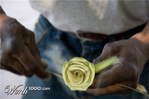 Photography by pinkfly