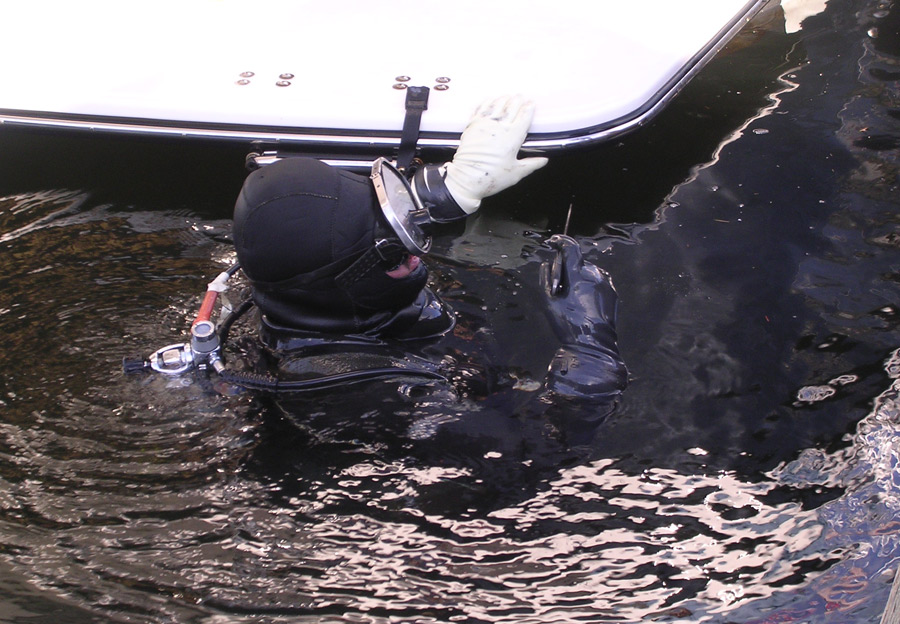 Photography by SallySmyth for DesignCrowd (Community Contests) | Design #8994538