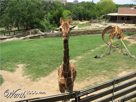 Photoshop Design by bibush