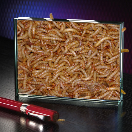 Diseño de Photoshop por jcsheng505 para DesignCrowd (Community Contests) | Diseño #8989379