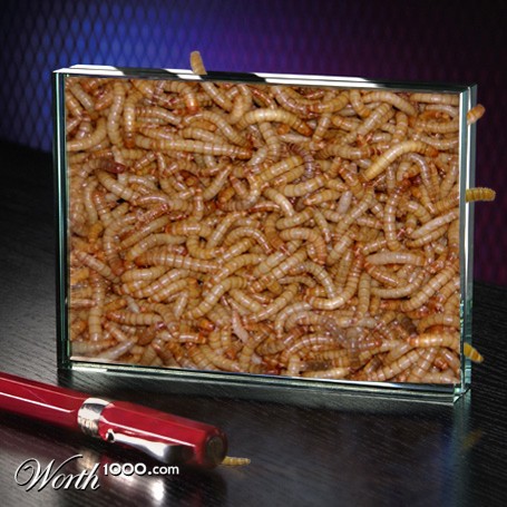 Photoshop Design by jcsheng505