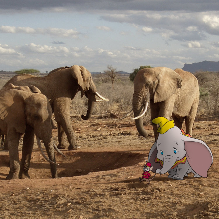 Photoshop Design by doehlman for DesignCrowd (Community Contests) | Design #8985074