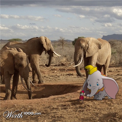 Photoshop Design by doehlman