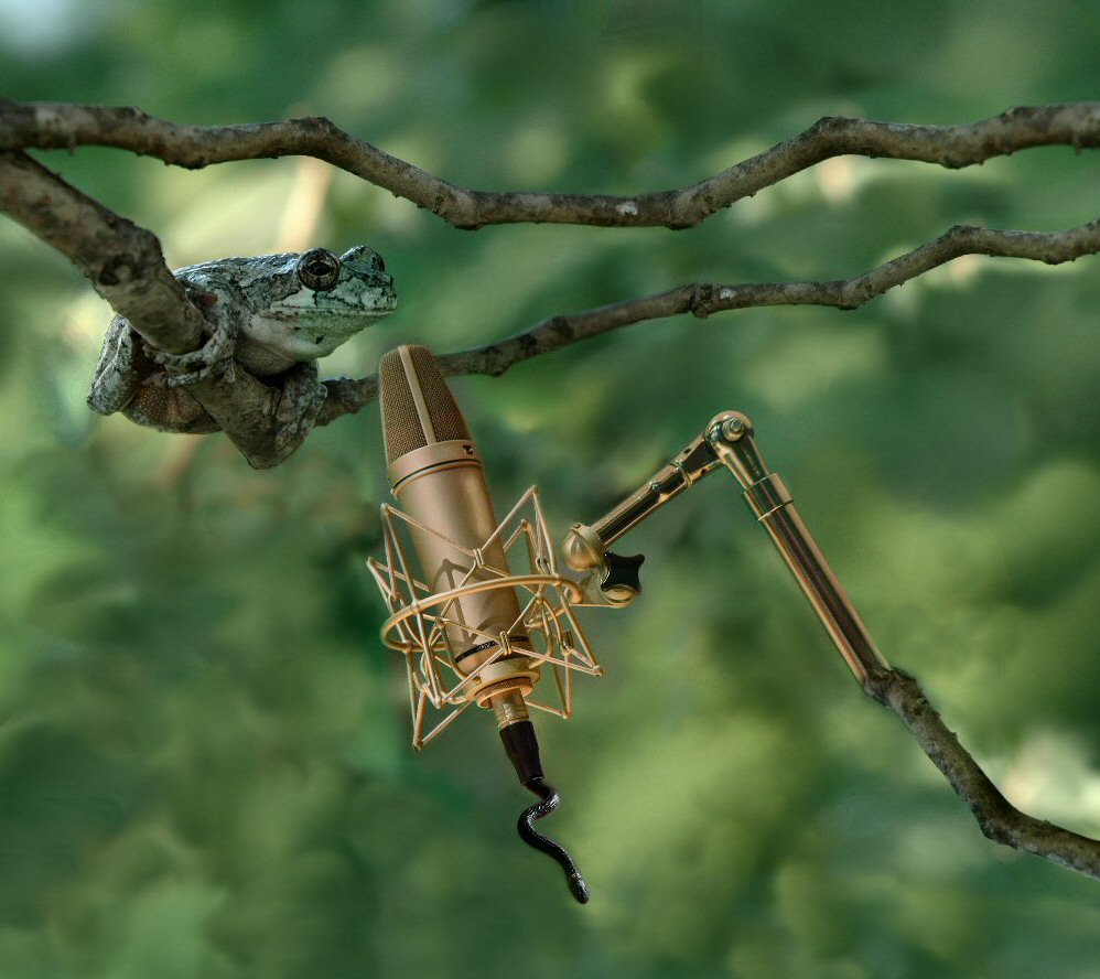 Fotografía por 2crimson para DesignCrowd (Community Contests) | Diseño #8994537