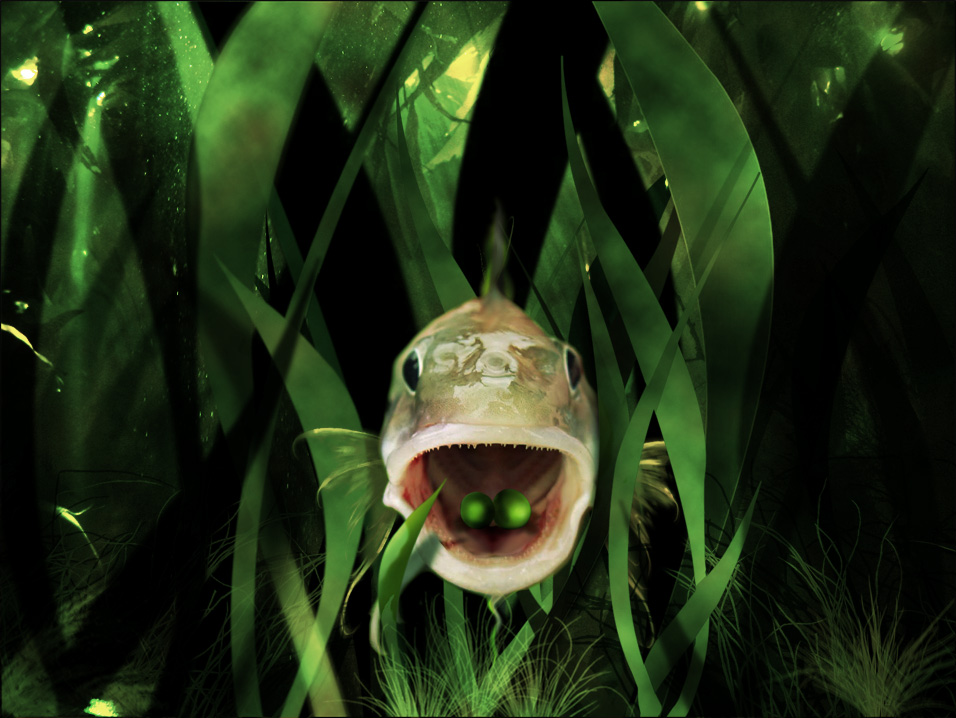 Photoshop Design by merrypranxter for DesignCrowd (Community Contests) | Design #8989412