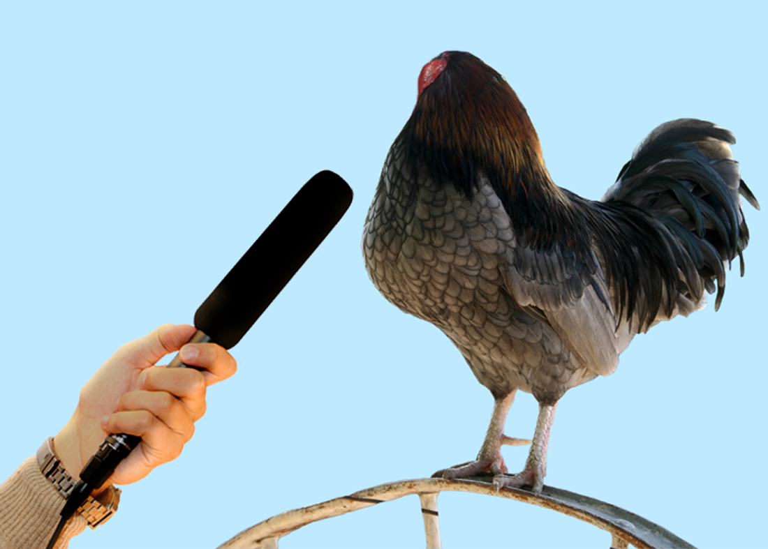 Photoshop-Design von cleareyes für DesignCrowd (Community Contests) | Design #8989392