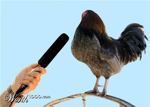 Photoshop Design by cleareyes