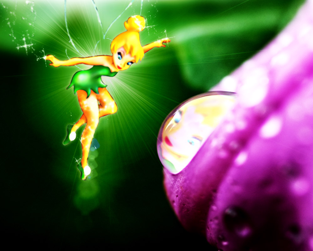 Photoshop Design by Tobocop for DesignCrowd (Community Contests) | Design #8985142