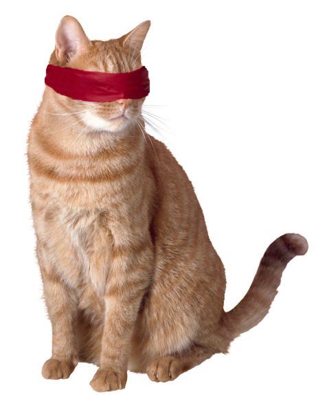 Design Photoshop par VaneetraX pour DesignCrowd (Community Contests) | Design #8989471