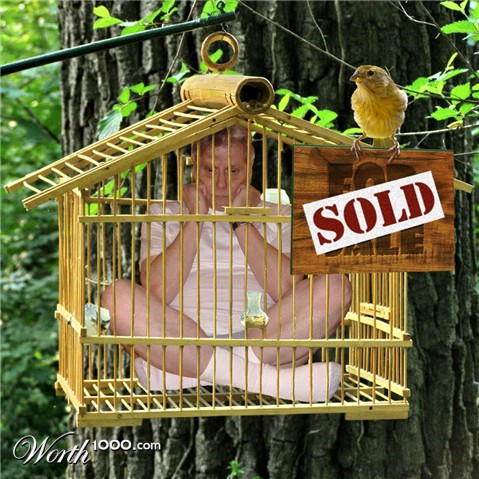 Photoshop Design by MsgtBob