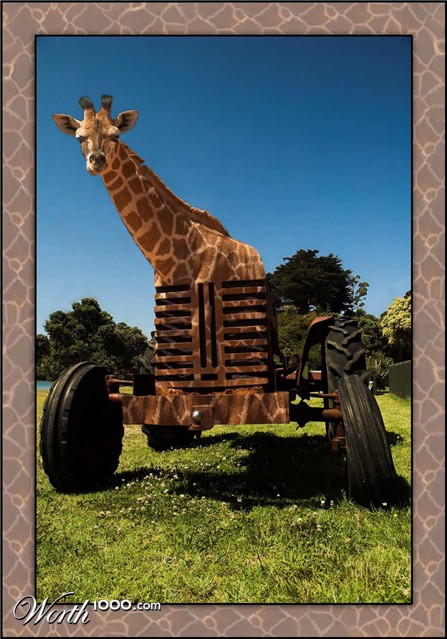 Photography by kimbomac