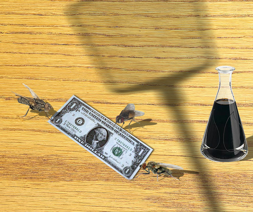 Photoshop Design by bicyclewilli for DesignCrowd (Community Contests) | Design #8989536