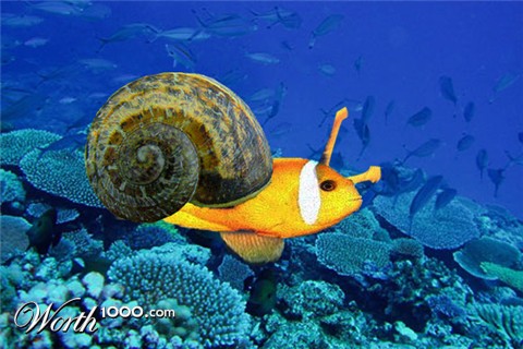 Photoshop Design by Jessica850
