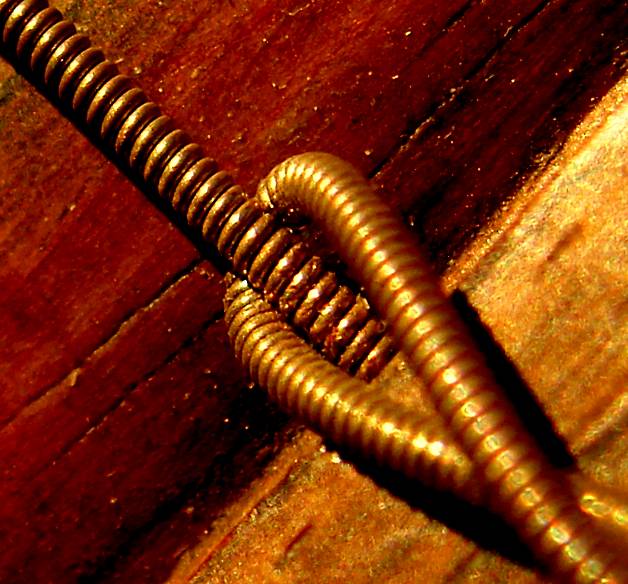 Photographie par Berilu pour DesignCrowd (Community Contests) | Design #8988228