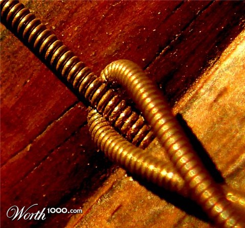 Photography by Berilu