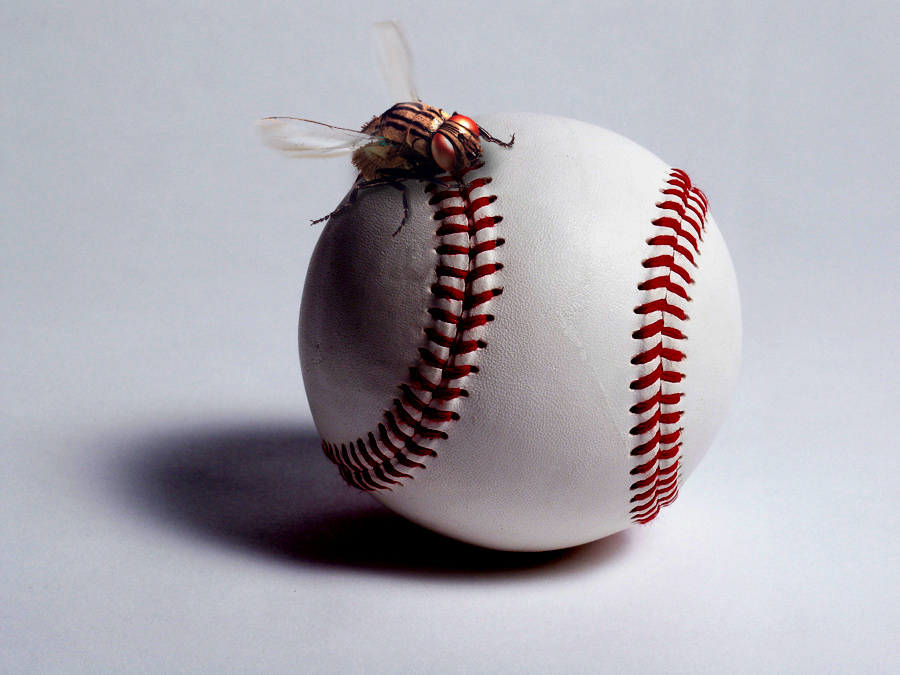 Diseño de Photoshop por Terrence para DesignCrowd (Community Contests) | Diseño #8989488