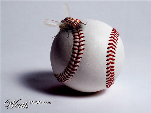 Photoshop Design by Terrence