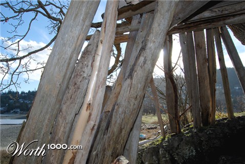 Photography by CharlieFedora