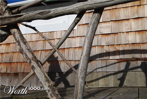 Photography by CharlieFedora