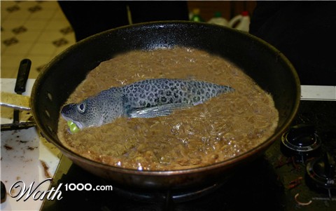 Photoshop Design by jaysin777