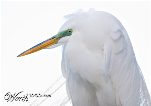 Photography by pinkfly