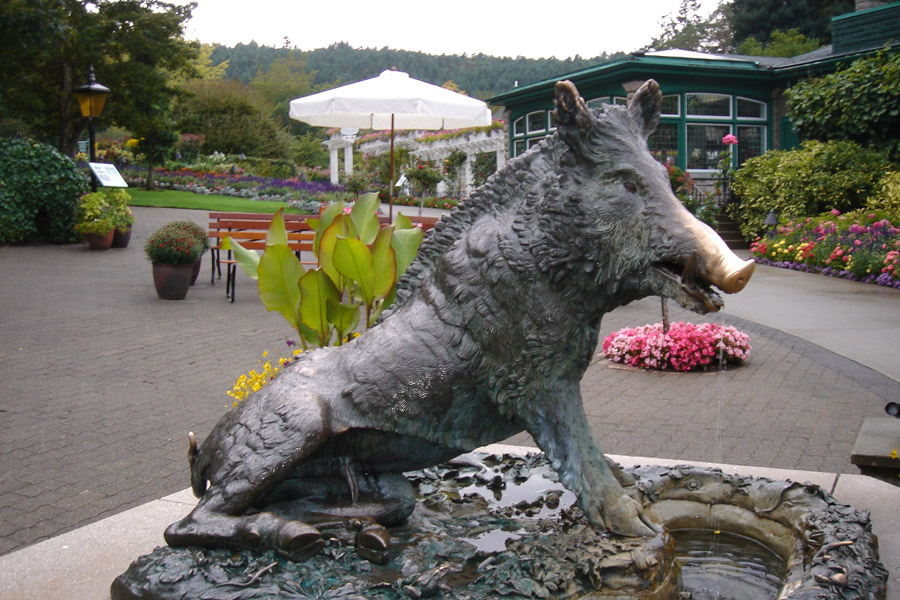 Photography by SallySmyth for DesignCrowd (Community Contests) | Design #8987227