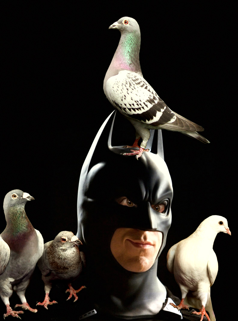 Diseño de Photoshop por Mandrak para DesignCrowd (Community Contests) | Diseño #8989506