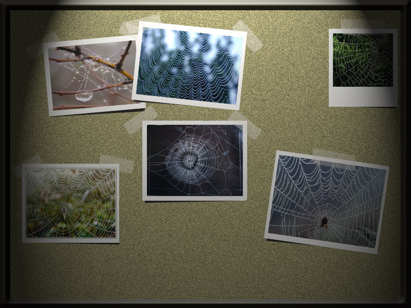 Design Photoshop par jcsheng505 pour DesignCrowd (Community Contests) | Design #8989370